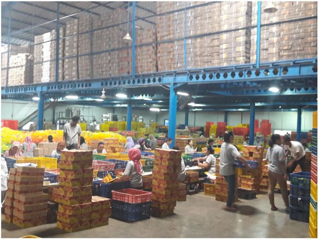 PT. Makmur Artha Sejahtera, Cirebon
